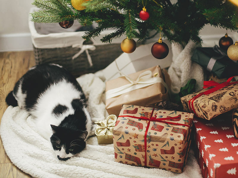 holiday surcharges